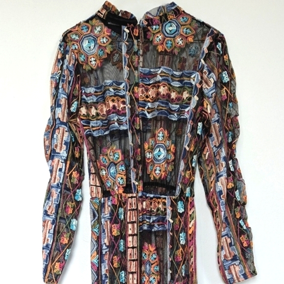 Zara Embroidered Mesh Sheer Midi Dress Hi-Lo Hem Long Sleeve with Slip Dress- S - Picture 7 of 16
